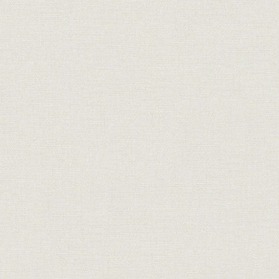 Scalamandre Wallcoverings CINDER PLAIN GESSO