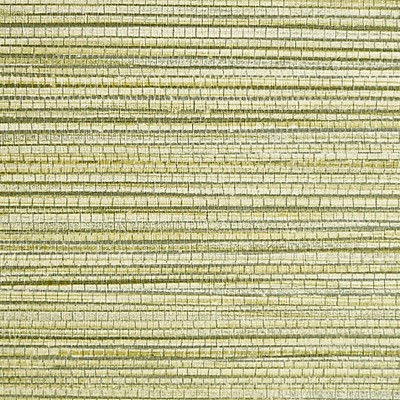 Scalamandre Wallcoverings WILLOW WEAVE GRASS