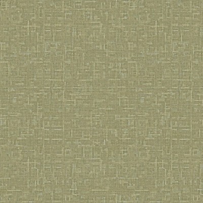 Scalamandre Wallcoverings CHIETI MOSS