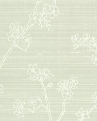 Silk Wallcovering Collection