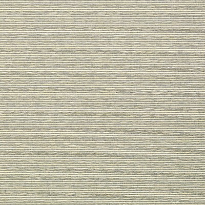 Scalamandre Wallcoverings ADITI PLAIN RHINO