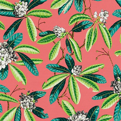 Scalamandre RHODODENDRON - OUTDOOR FLAMINGO