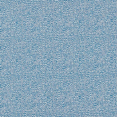 Scalamandre SHAGREEN DELFT