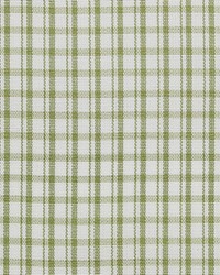 Scalamandre Astor Check Leaf Fabric