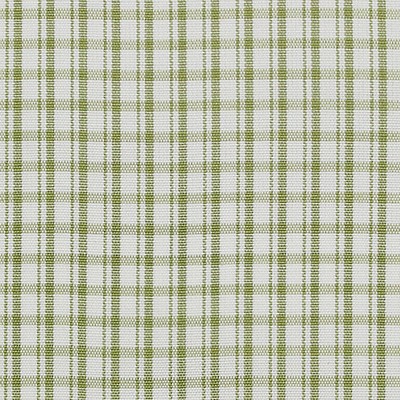 Scalamandre ASTOR CHECK LEAF