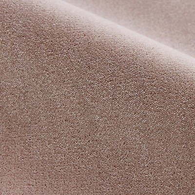 Scalamandre PORTER EARTH