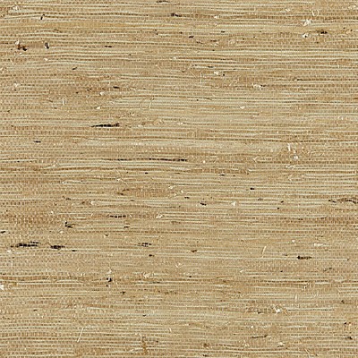 Scalamandre Wallcoverings ARROWROOT WEAVE SAGE