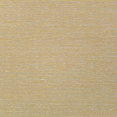 Scalamandre Wallcoverings ADITI PLAIN RAFFIA