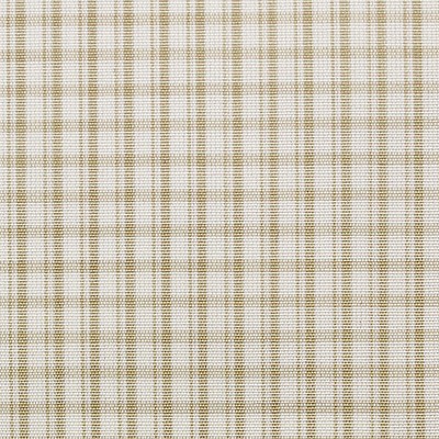 Scalamandre ASTOR CHECK STRAW