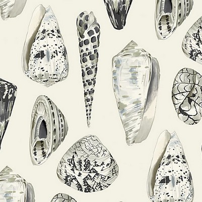 Scalamandre Wallcoverings COQUINA GRAPHITE