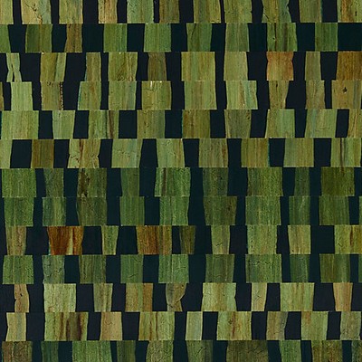 Scalamandre Wallcoverings CAPRICCIO MOSS