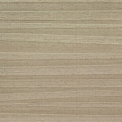 Scalamandre Wallcoverings SAAYA CAPPUCCINO