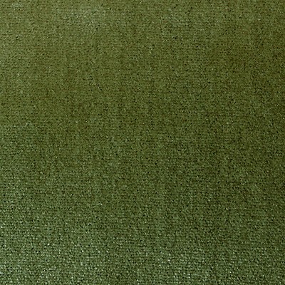 Scalamandre TIBERIUS LEAF