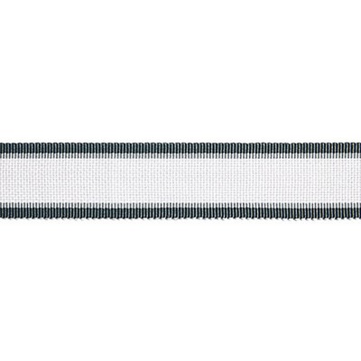 Scalamandre Trim ODEON SHIMMER BRAID MERCURY