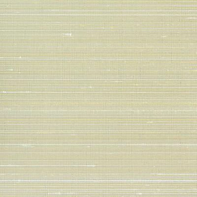 Scalamandre Wallcoverings RAVI DUNEGRASS