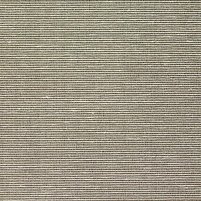 Scalamandre Wallcoverings ADITI PLAIN BOULDER