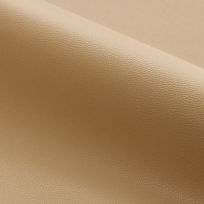 Scalamandre CLARK - OUTDOOR LATTE