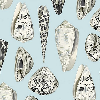 Scalamandre Wallcoverings COQUINA CAPRI