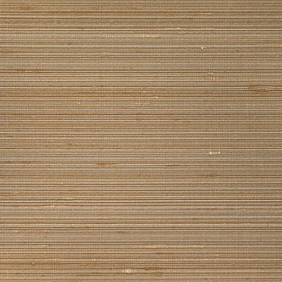 Scalamandre Wallcoverings ILESHA BRONZE