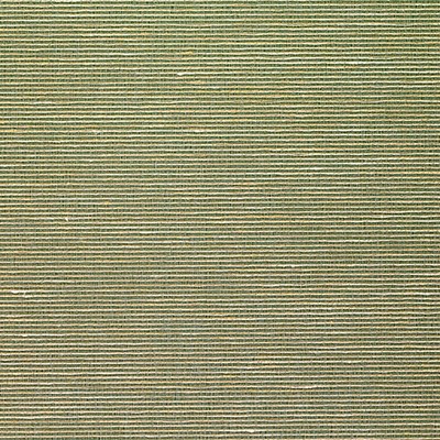 Scalamandre Wallcoverings ADITI PLAIN OLIVE