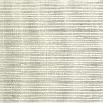 Scalamandre Wallcoverings SISAL PEWTER