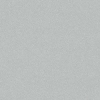 Scalamandre Wallcoverings MASON PLAIN SHADOW