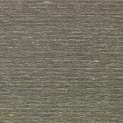 Scalamandre Wallcoverings ADITI PLAIN BLACK PEPPER