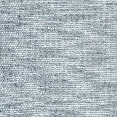 Scalamandre Wallcoverings SISAL SLATE