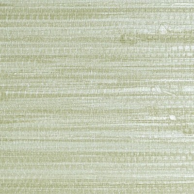 Scalamandre Wallcoverings PAMPAS SEAGRASS
