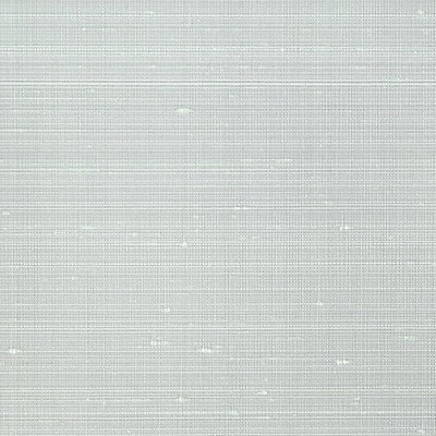 Scalamandre Wallcoverings MADHURA BLUEBERRY