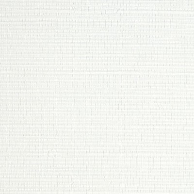 Scalamandre Wallcoverings SAVANNA SEEDLING FROTH