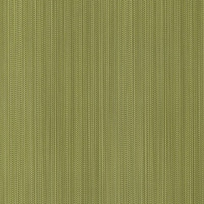 Scalamandre Wallcoverings ARIA STRIE MOSS