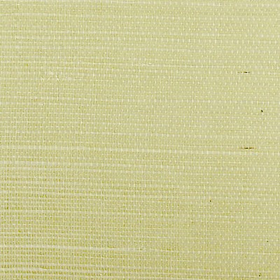 Scalamandre Wallcoverings SISAL SPRING