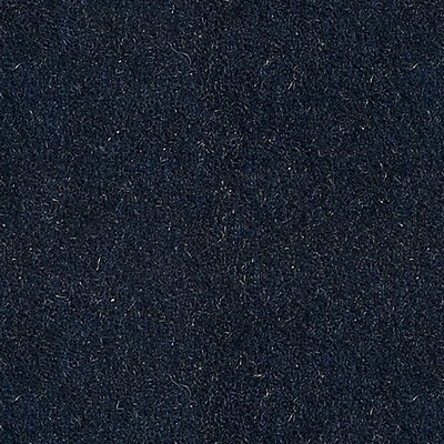 Scalamandre ASTI MOHAIR ADMIRAL