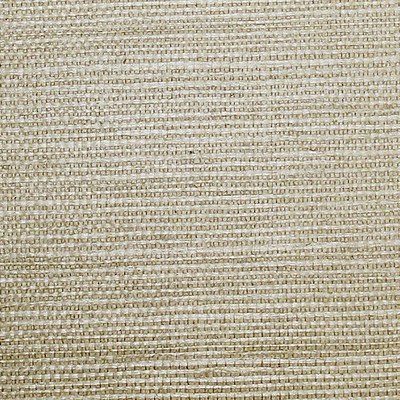 Scalamandre Wallcoverings SISAL CILANTRO