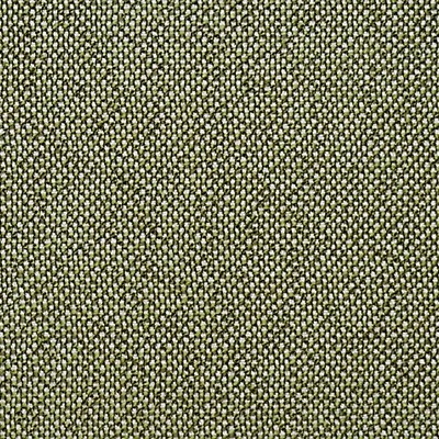 Scalamandre CITY TWEED BONSAI