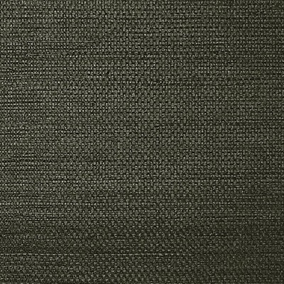 Scalamandre Wallcoverings SISAL EVENING