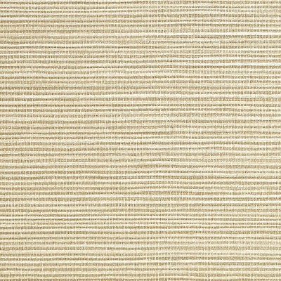 Scalamandre Wallcoverings SAVANNA SEEDLING BURNISH