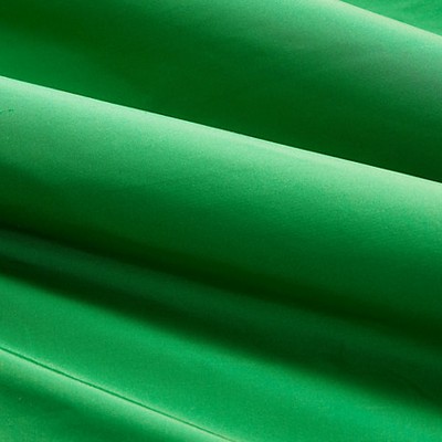 Scalamandre OLYMPIA SILK TAFFETA PARROT