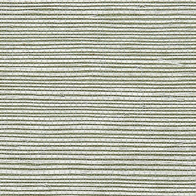 Scalamandre Wallcoverings SISAL PALE JADE