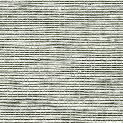 Scalamandre Wallcoverings SISAL CELESTIAL