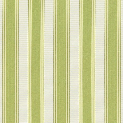 Scalamandre SHIRRED STRIPE NEW LEAF