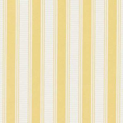 Scalamandre SHIRRED STRIPE SUNRAY
