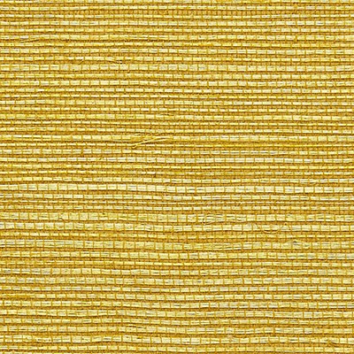 Scalamandre Wallcoverings SISAL BRASS