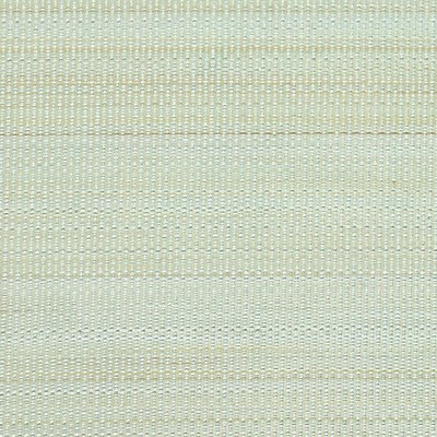 Old World Weavers PASO HORSEHAIR PALE BLUE