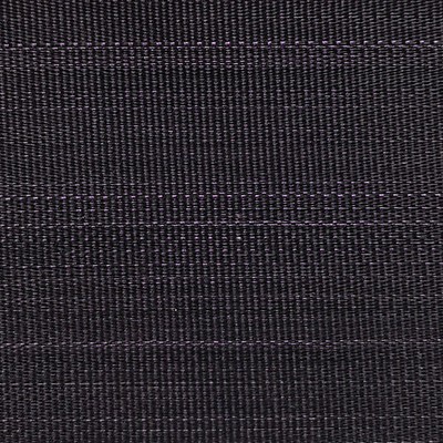 Old World Weavers PASO HORSEHAIR PURPLE / BLACK