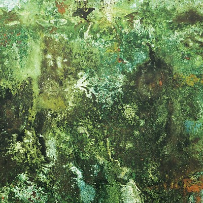 Scalamandre Wallcoverings VERT DE GRIS JADE