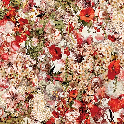 Scalamandre Wallcoverings CELEBRATION MULTICO