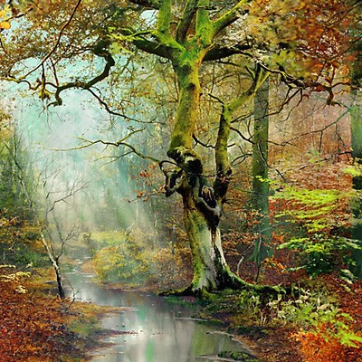 Scalamandre Wallcoverings SOUS BOIS - MURAL FORET