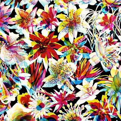 Scalamandre Wallcoverings GRENADA MULTICO